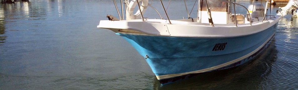 Venus-26ft